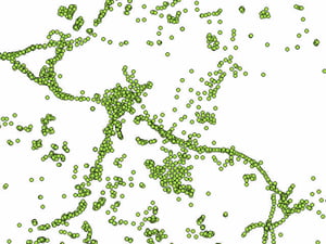 BGS Borehole Index - sample image